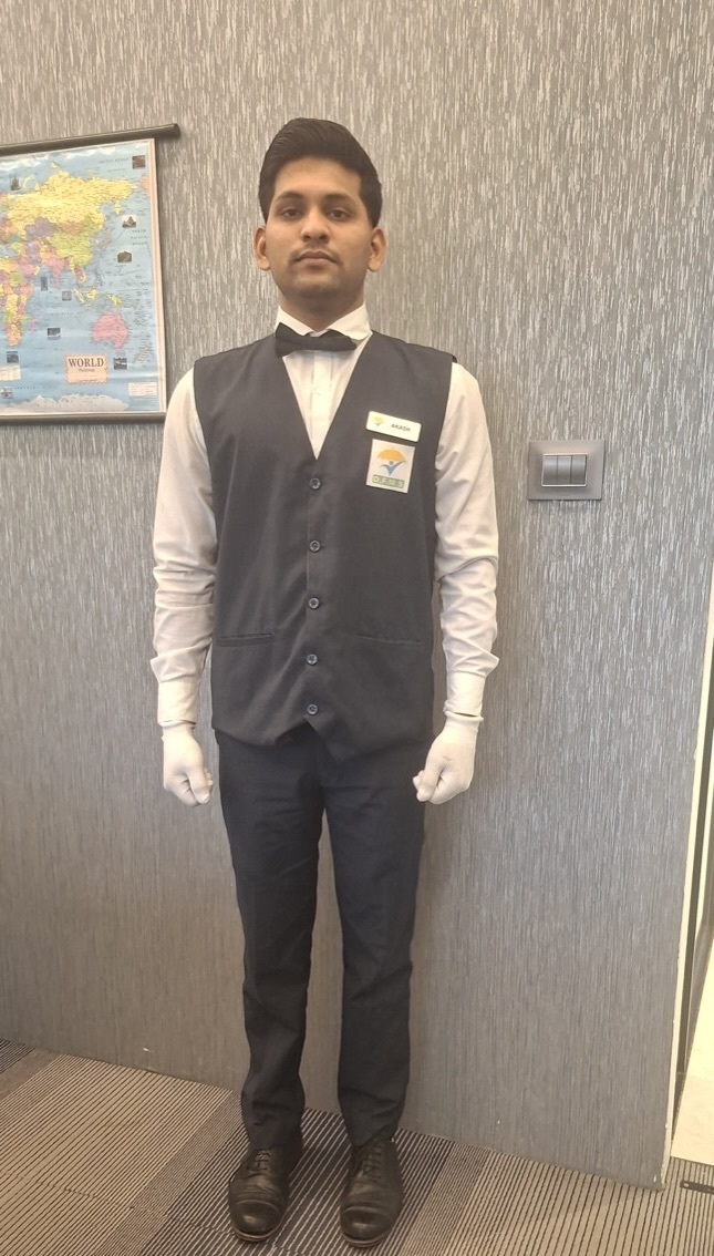 Professional presentation
